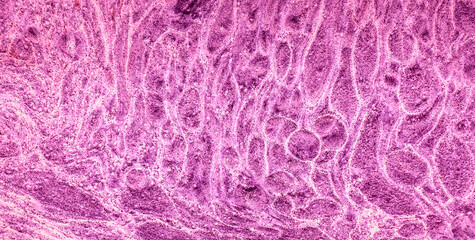 Vintage Paper Wallpaper Featuring a Dirty Surface Texture
