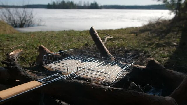White pollock fish grilling on metal grid on bonfire in nature near frozen river early spring. Cooking preparing frying healthy food. Frying fish on hot coals. Cook cuisine on picnic, bbq barbeque.