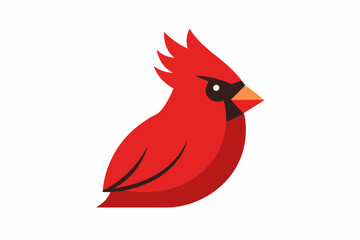 red bird on white background