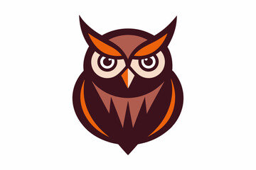 owl on a white background