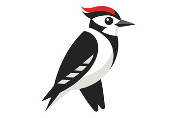 penguin on a white background