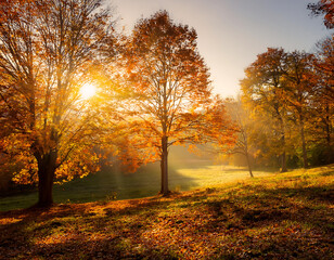  Autumn landscape with trees and sunlight rays, capturing the warm glow of the fall season. _1(90)