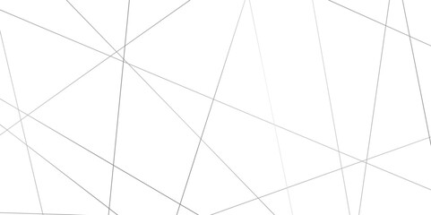 Abstract white background with gray stroke lines pattern .gray geometric random chaotic creative lines background backdrop .luxury modern technology concept diagonal line .