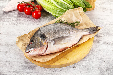 Raw dorada fish served rosemary