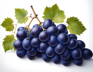 Fototapeta premium Dark blue grapes with leaves, isolated on a white background, ideal for food or wine-relate_1(310)