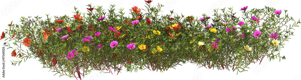 Wall mural portulaca blossom flower shrub hq arch viz cutout plant