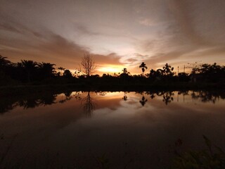 Obraz premium Evening view with sunset, shadows of dry trees and plants in the pond 