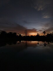 Fototapeta premium Evening view with sunset, shadows of dry trees and plants in the pond 