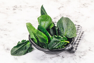 Ripe green spinach leaves heap