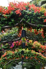 Santa Cruz de Tenerife park (Parque García Sanabria)