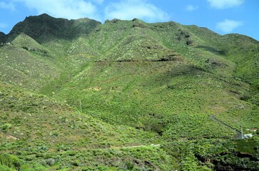 Fototapeta premium Tropical Mountains in Anaga Rural Park, Tenerife, Canary Islands