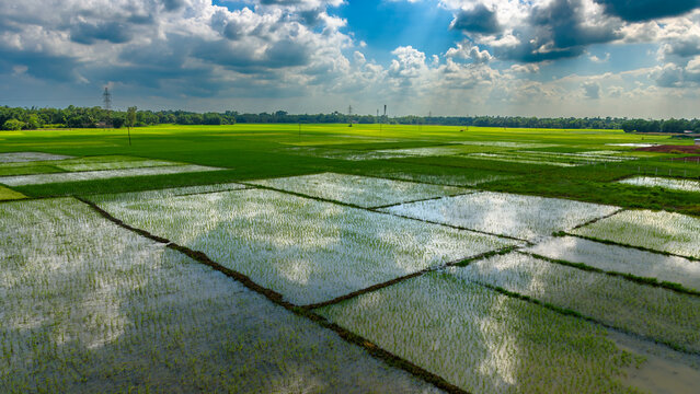 Agricultural Fields at the Time of Monsoon Season.