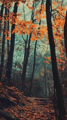 Fototapeta premium A path winds through a forest, with orange leaves covering the ground and trees reaching for the sky.