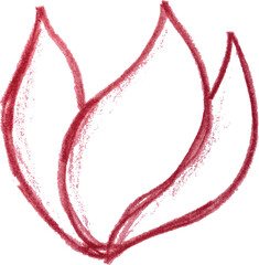 Flower drawn with red pencil with petals on isolated background