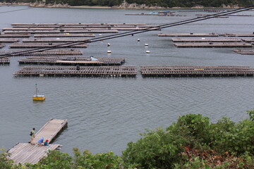 牡蠣筏のある風景, a raft for oyster farming