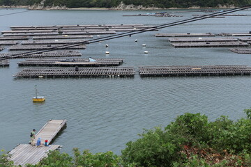 牡蠣筏のある風景, a raft for oyster farming