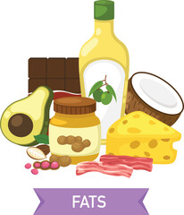 Fatty acid food group vector illustration