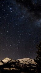 A breathtaking night sky filled with stars over snow-capped mountains.