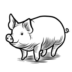 Sketch of a pig. Various poses of a sitting, standing piglet. Vintage illustration. Element for label, packaging and postcard design.