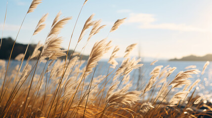 Crystal-Clear Nature Background: High-Resolution Wallpaper for a Serene and Stunning View