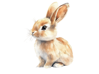 A charming, fluffy rabbit with soft fur, sitting gracefully, perfect for nature themes and animal illustrations.