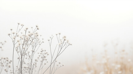 Fototapeta premium A serene landscape dominated by a pale, almost white background. On the left side, there's a cluster of slender, dried plants with thin stems and delicate flowers