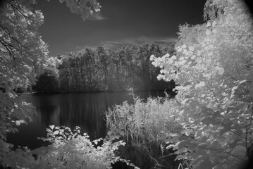 In the Forest. Light painted.
