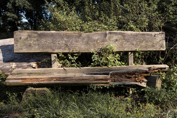 Naklejka premium Verrottete Holzbank am Waldesrand