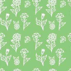 pattern seamless with flowers and leaves silhouettes white for cutting green background