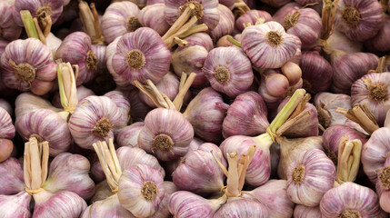 Garlic bulbs piled up in a heap