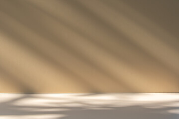empty room with subtle shadow for background