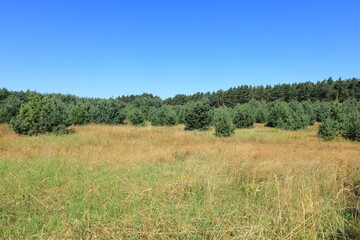 Fototapeta premium Blick über das Landschaft Mecklenburger Seenplatte bei Zislow