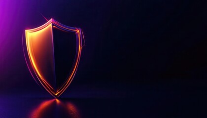 Shield icon with a modern, clean design, emphasizing security and precision