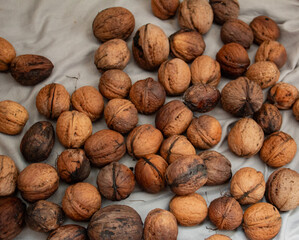 walnuts