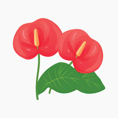 Vibrant red anthurium flowers illustration