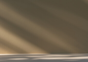 empty room with subtle shadow for background