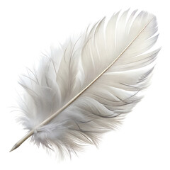 Fluffy White Feather - Gently Lying on White Background