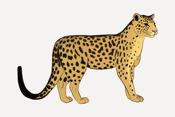 Illustrated leopard with spotted fur