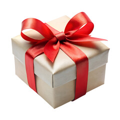 Neatly Wrapped Gift Box with Red Ribbon - Isolated on White
