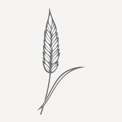 Minimalist wheat illustration vector