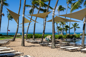 ​Triangle shape Sunsails tied in between coconut trees to provide shade on a tropical beach with chaise lounges lined on the sand, naupaka bushes and a view of the ocean, Kauai, Hawaii