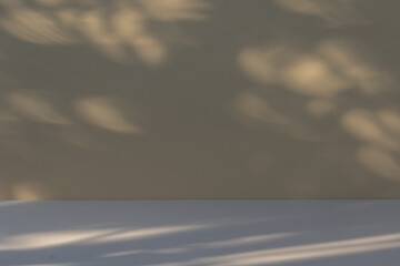 empty room with subtle shadow for background