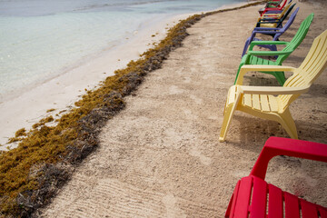 Beach chairs on the shore