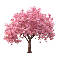 Pink Cherry Blossom Tree In Full Bloom On Transparent Background
