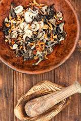 Edible dried mushrooms pile.