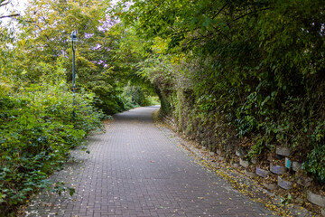 Dirt road through the autumn forest, view on an October day
