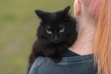 black cat sits on owner shoulder in park in summer