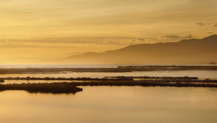 sunset view from delta del ebre park, in Spain, with flamingos and lagoons wirh orange light