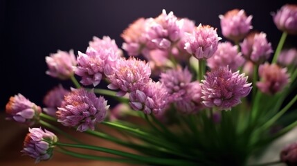 Obraz premium Close-up of Pink Chive Flowers
