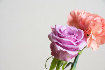 薔薇とカーネーション